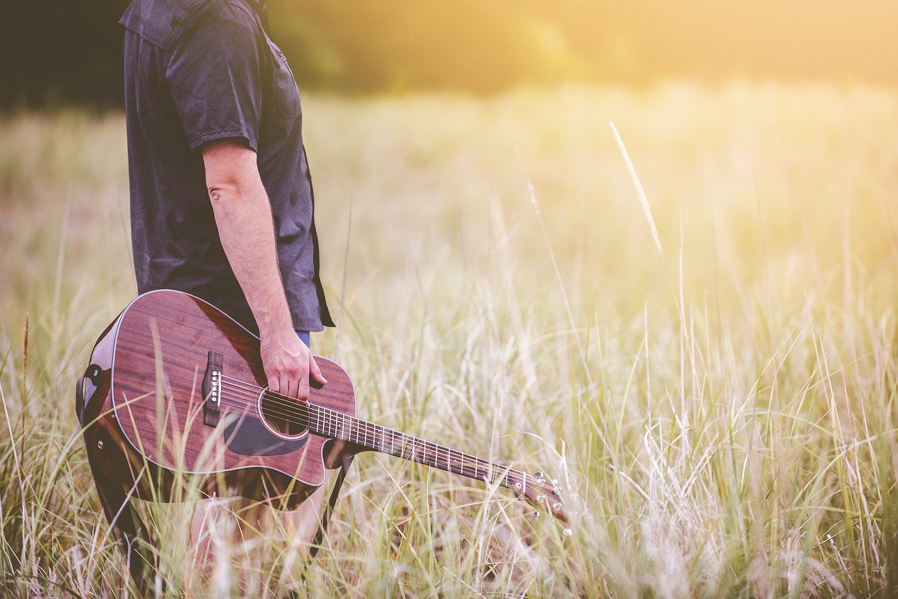 Image - countryside field grass guitar