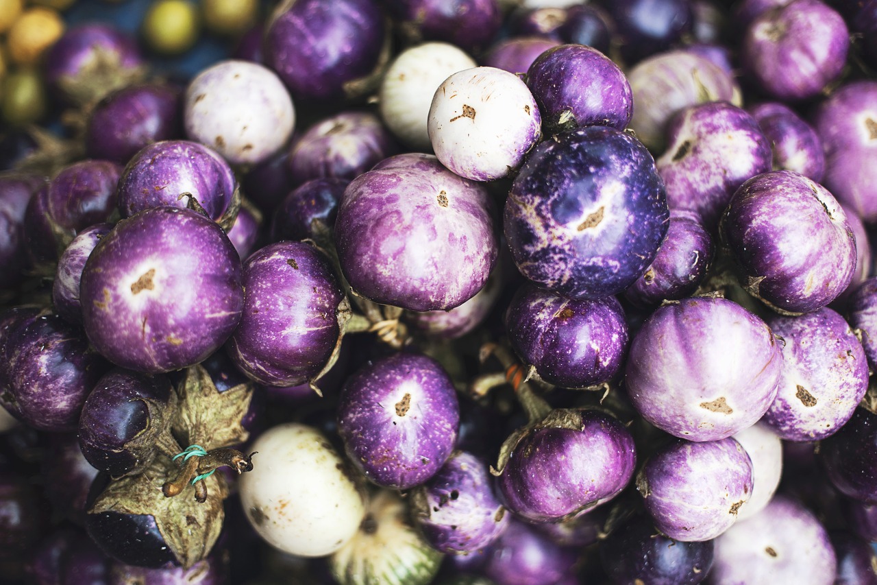 Image - agriculture close up eggplants food