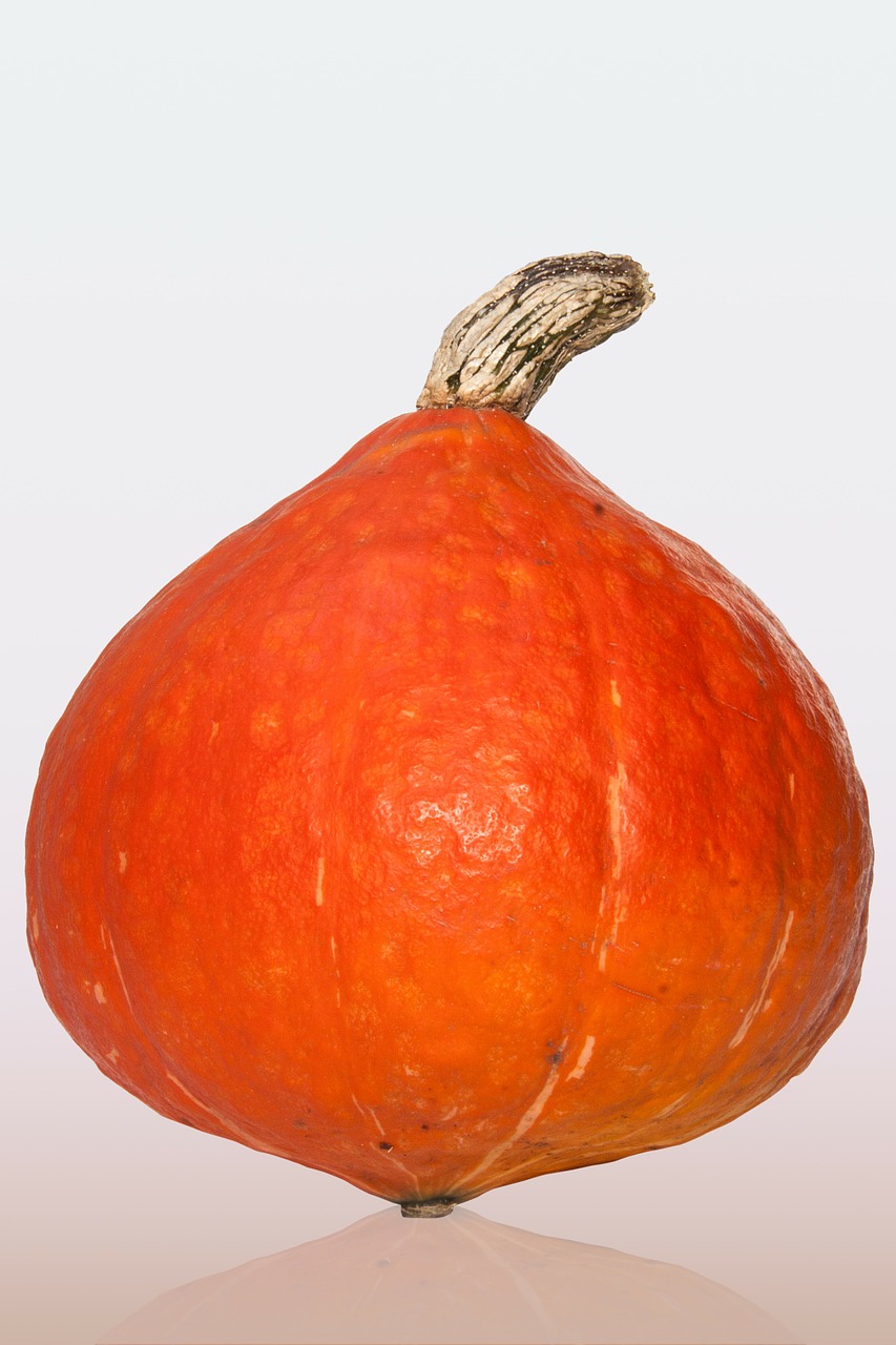 Image - kabocha japanese giant pumpkin