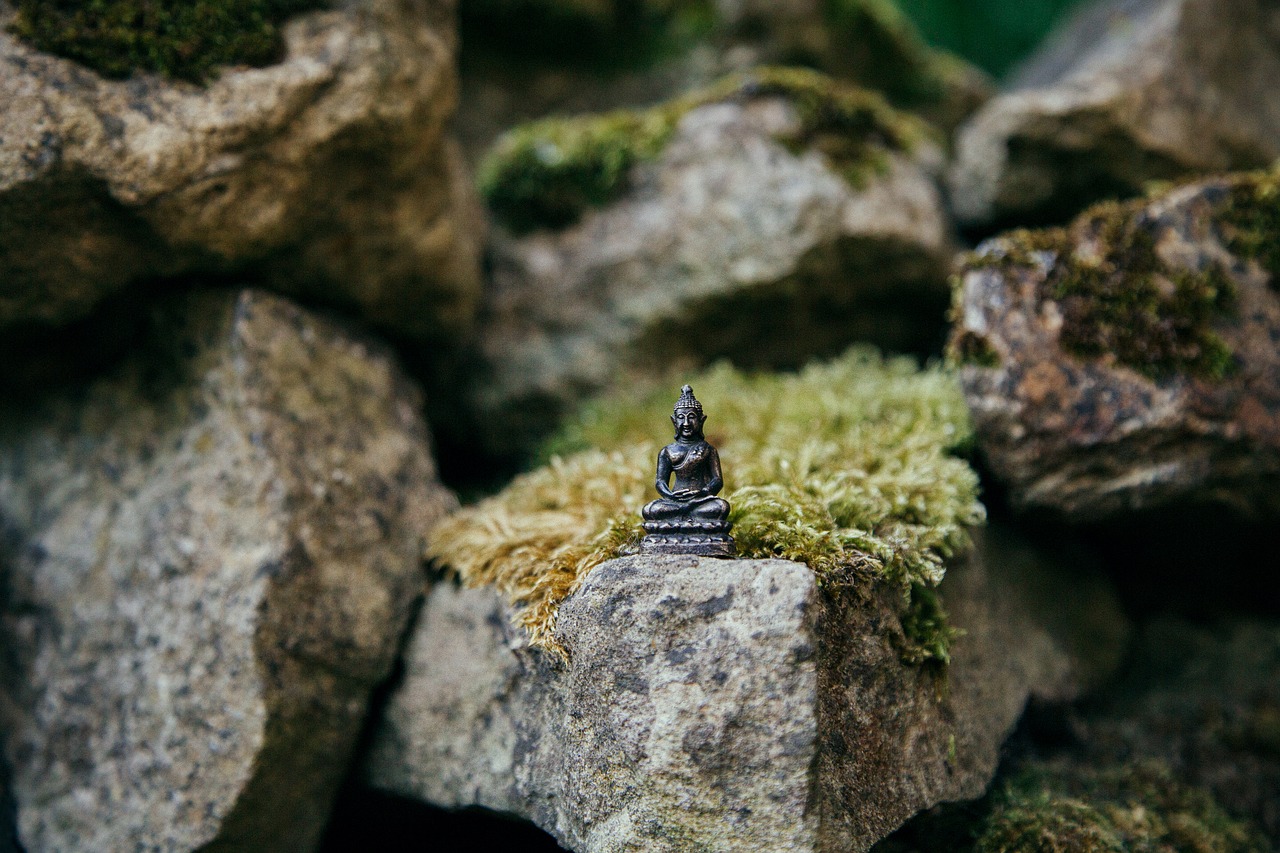 Image - boulder buddha close up environment