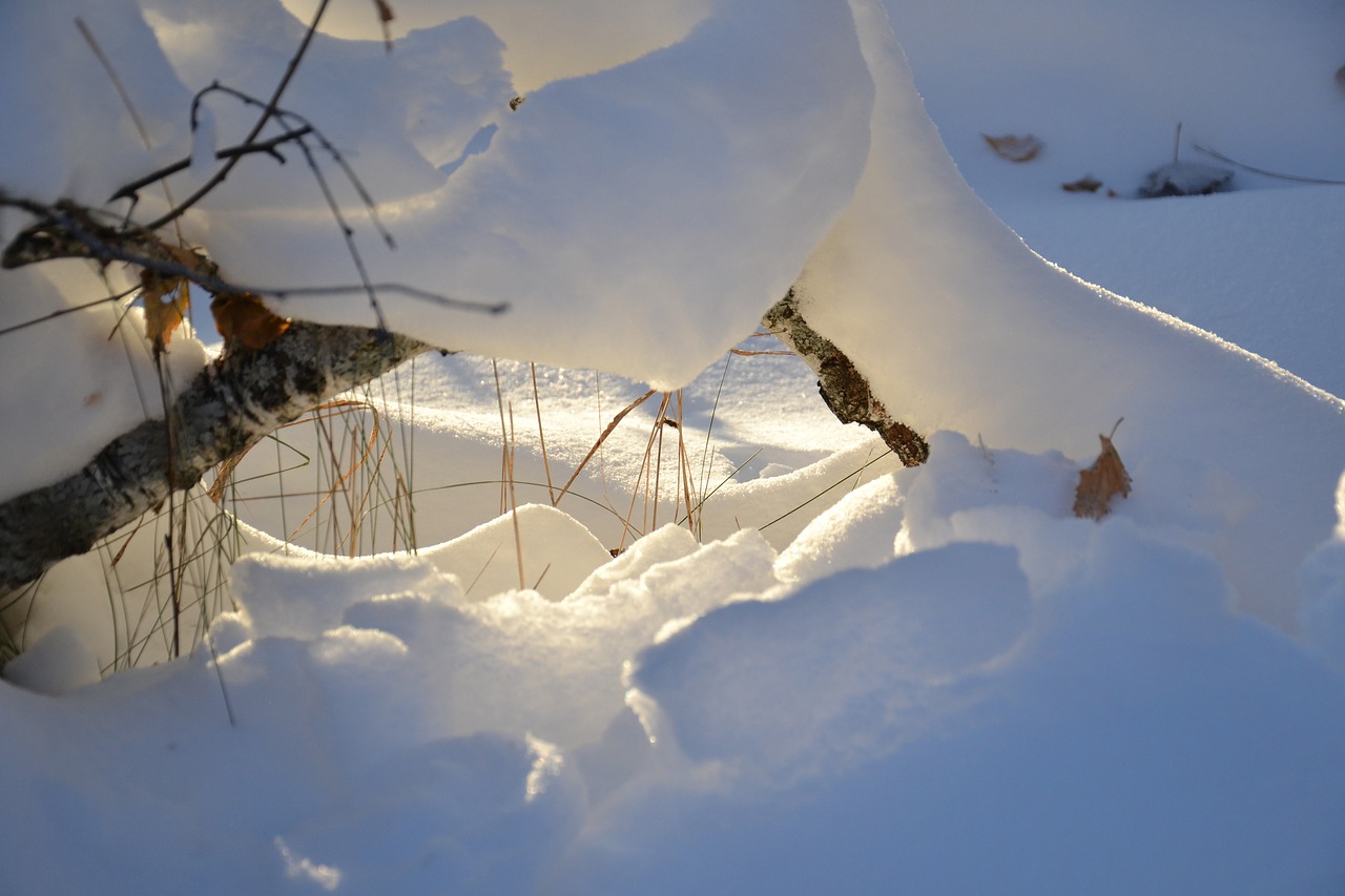 Image - winter sunbeam snow forest siberia