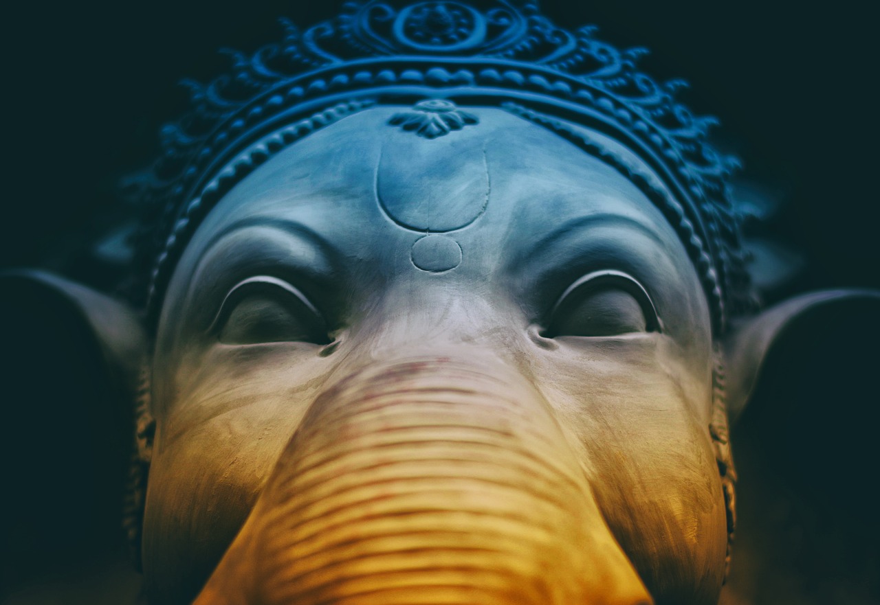 Image - art close up elephant face head