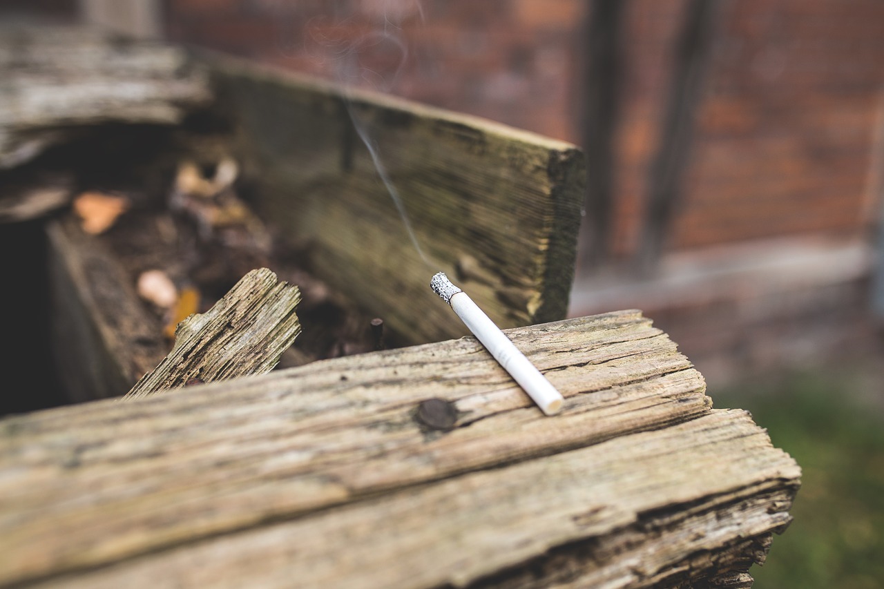 Image - cigarette close up fag log