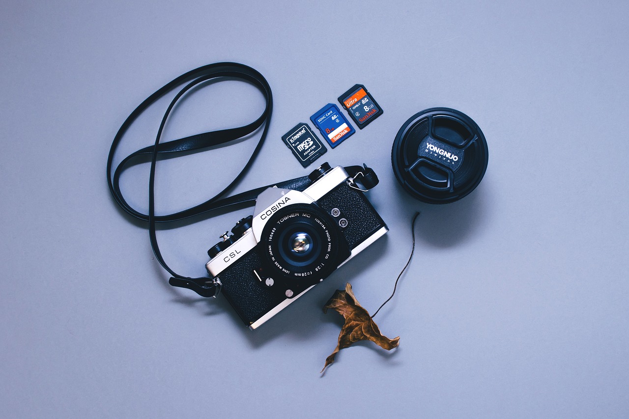 Image - camera camera lens device dry leaf