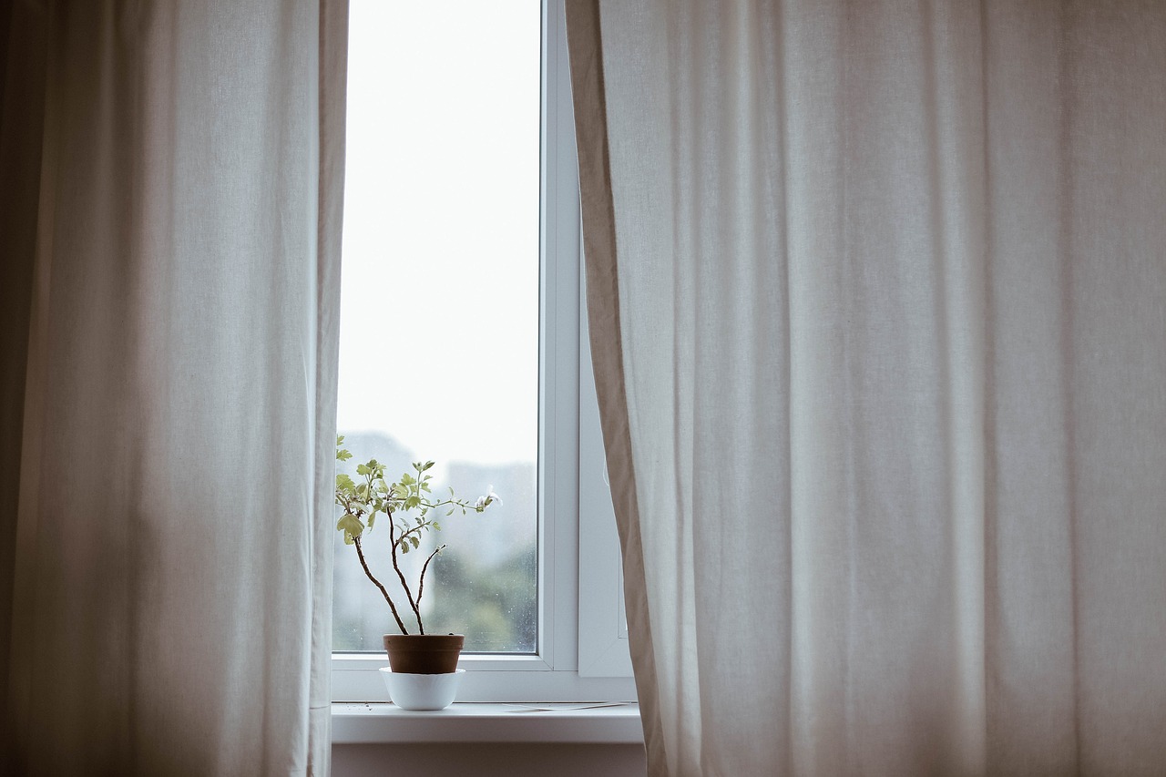 Image - curtains decoration indoors plant