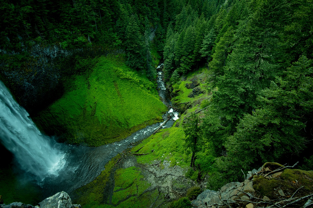 Image - creek landscape moss mountain