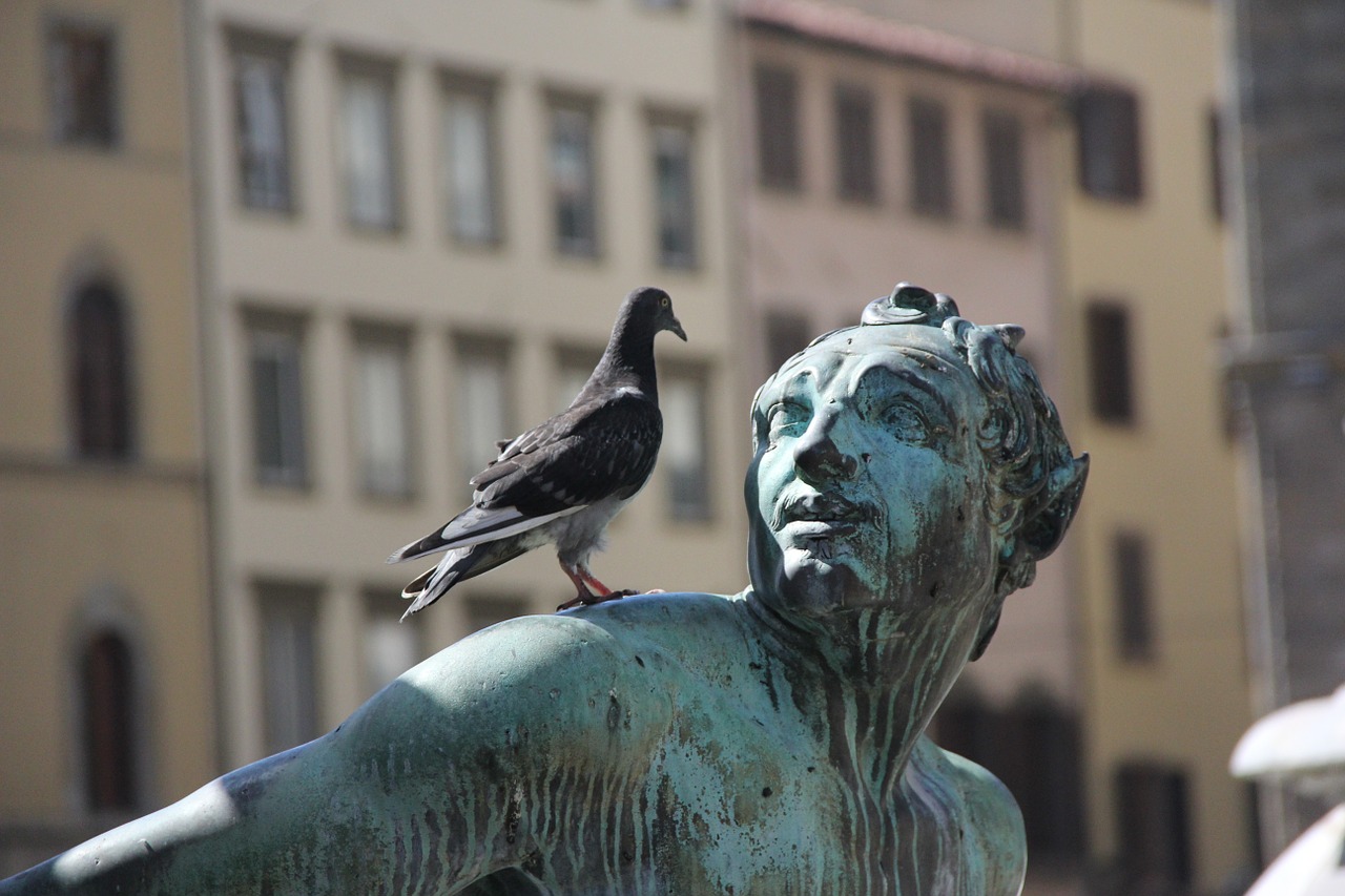 Image - statue bronze pigeon