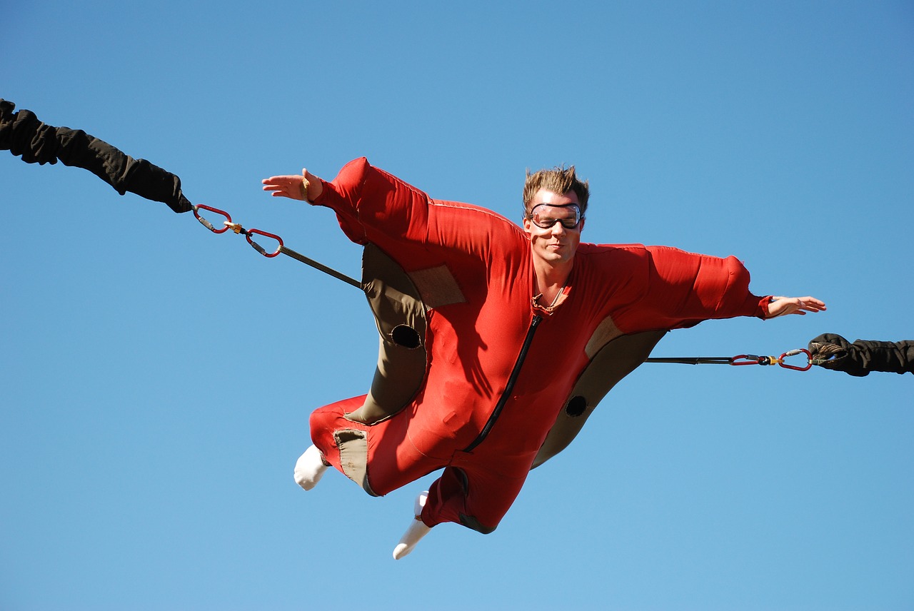 Image - man flying manege show man flying