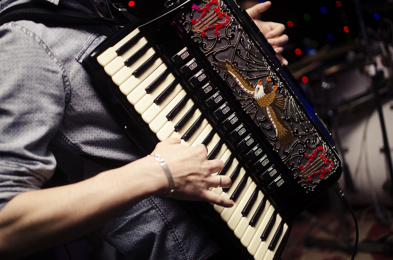 Image - accordion harmonica acordeon