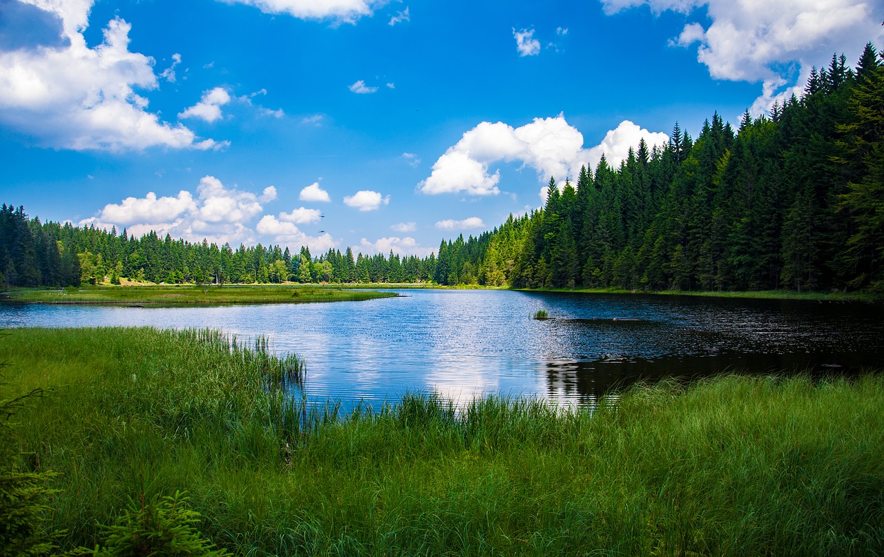 Image - bavarian forest alpsee lake clouds