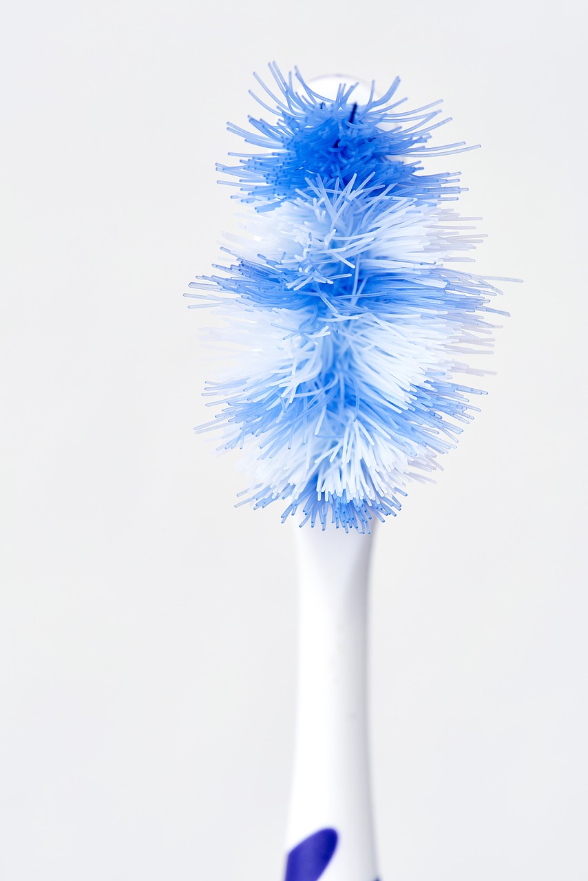 Image - toothbrush head dental care hygiene