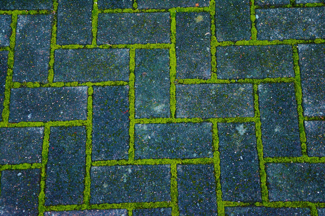 Image - patch paving stones moss road away