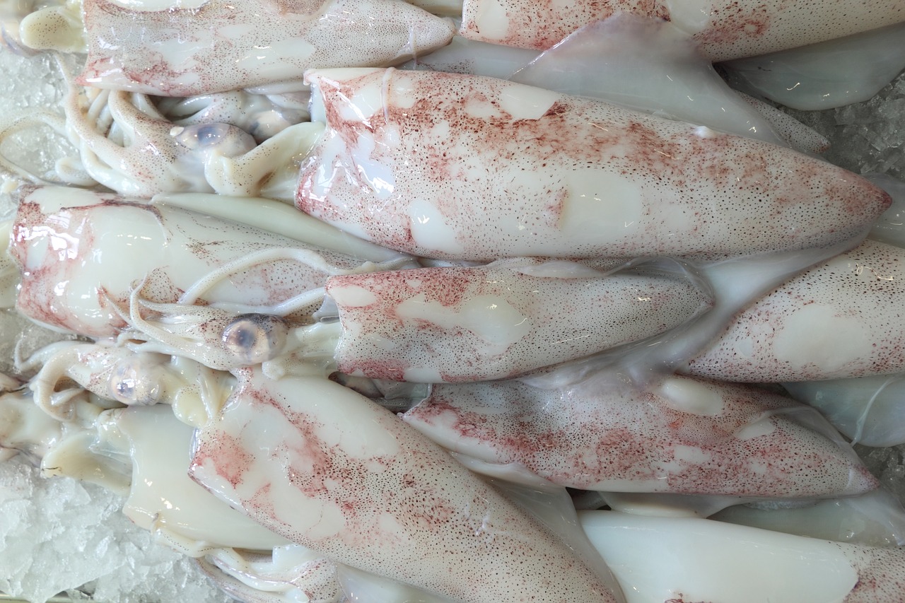 Image - portugal lisbon fish market