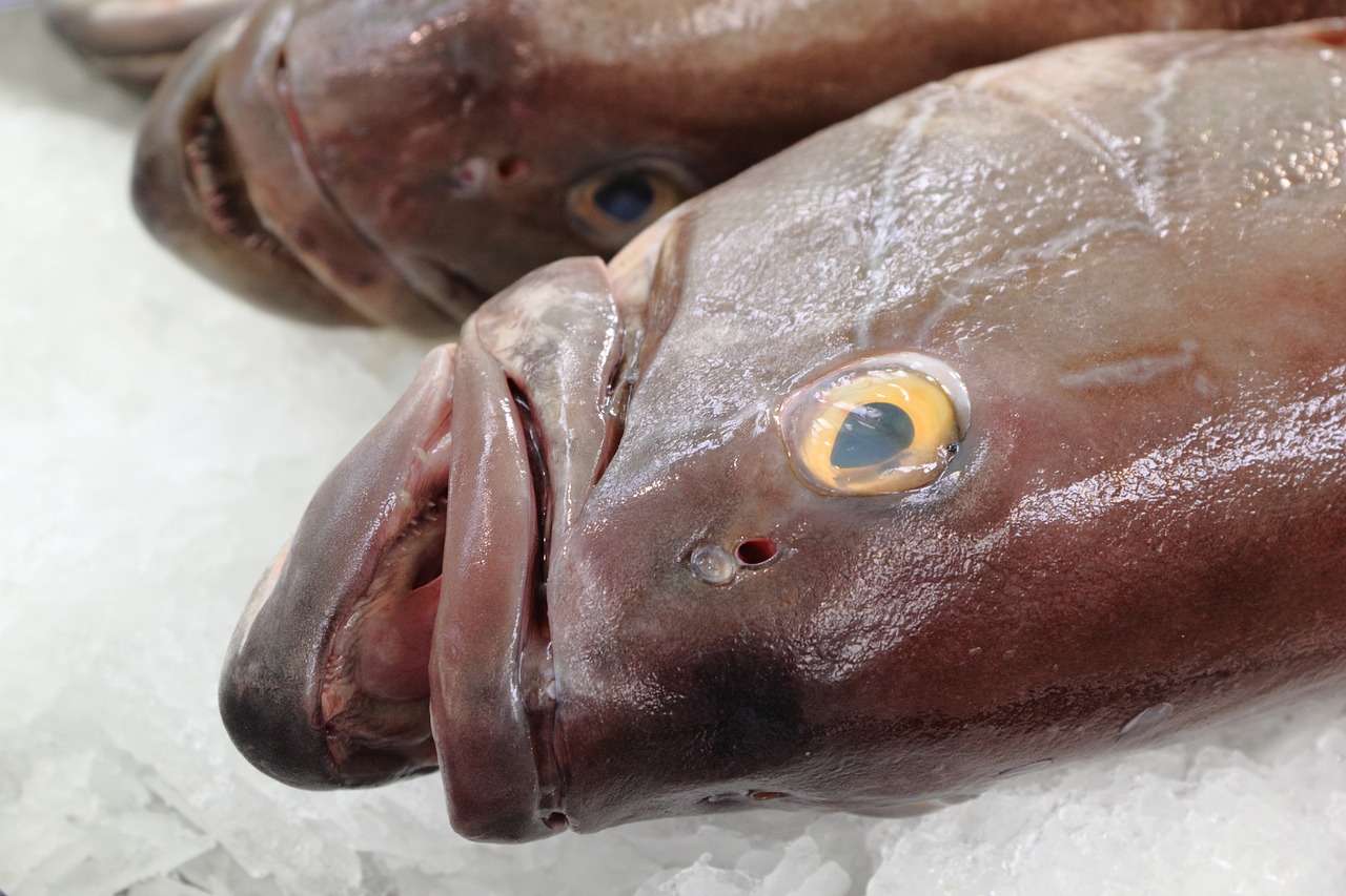 Image - portugal lisbon fish market