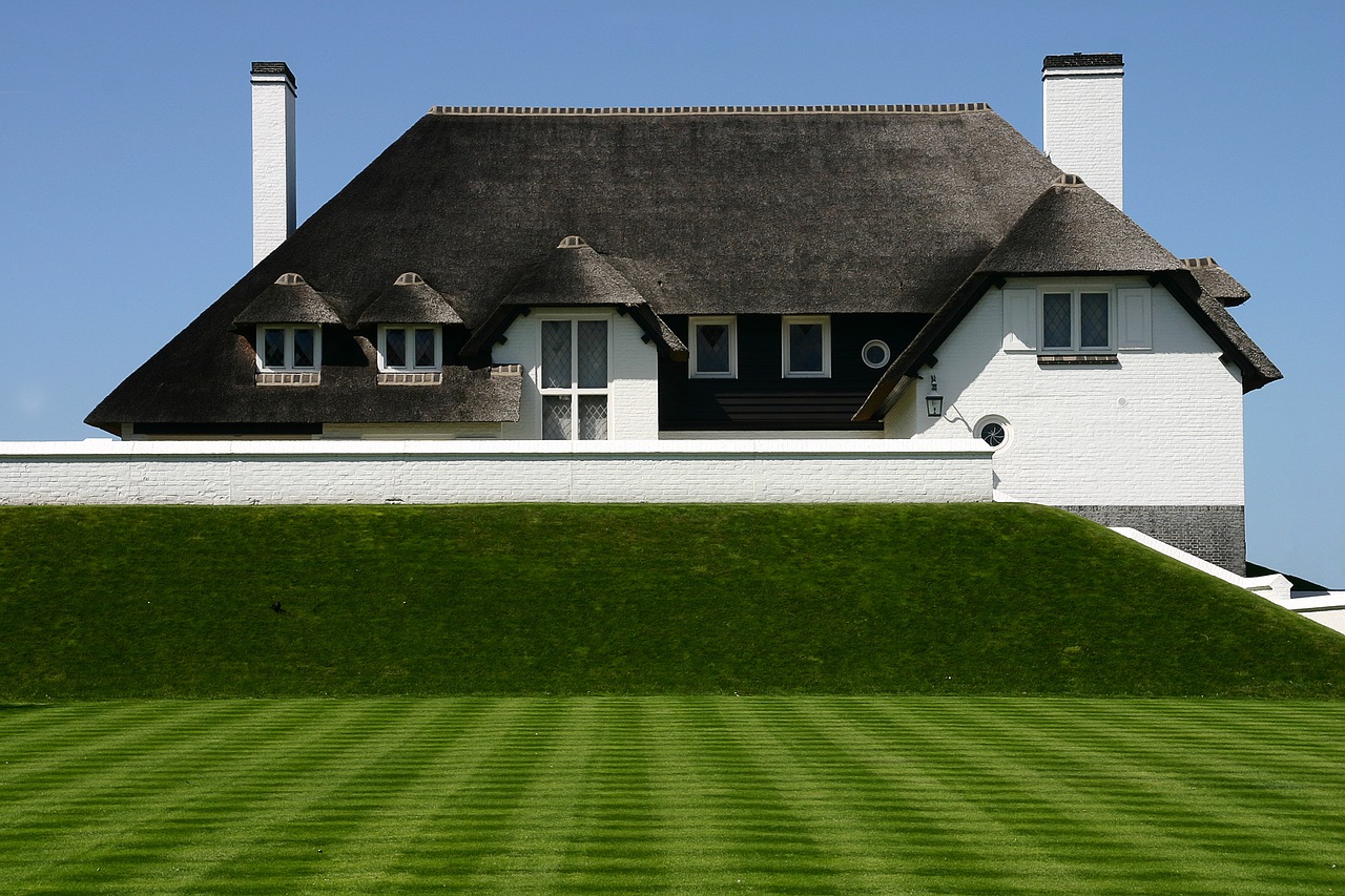 Image - home thatched roof green lawn