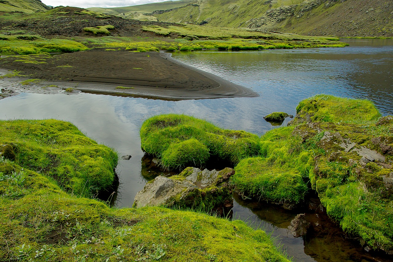 Image - iceland eldgjà volcano lake foam