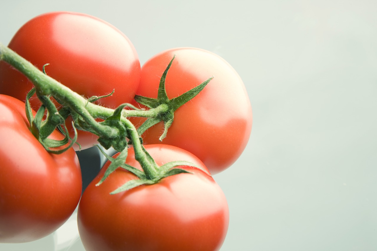 Image - tomato red bush tomato vegetables