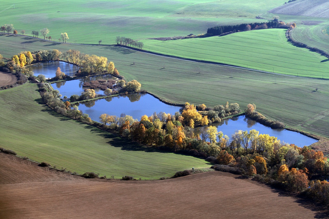 Image - ponds landscape water trees autumn