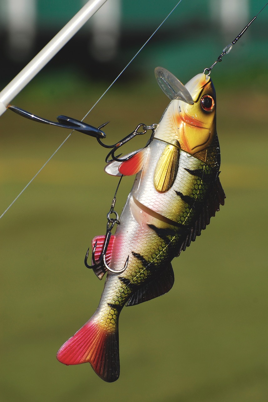 Image - lure fishing angling tackle