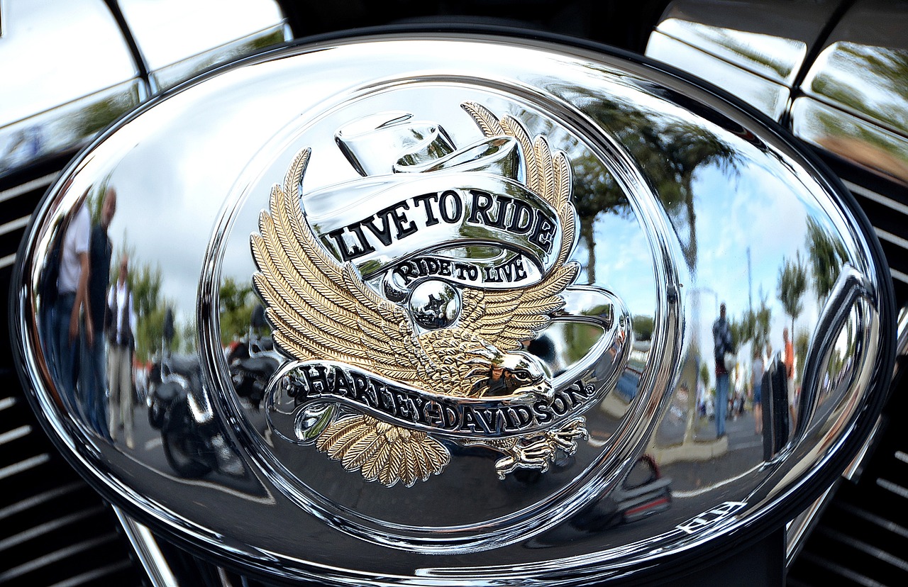 Image - harley davidson logo metal