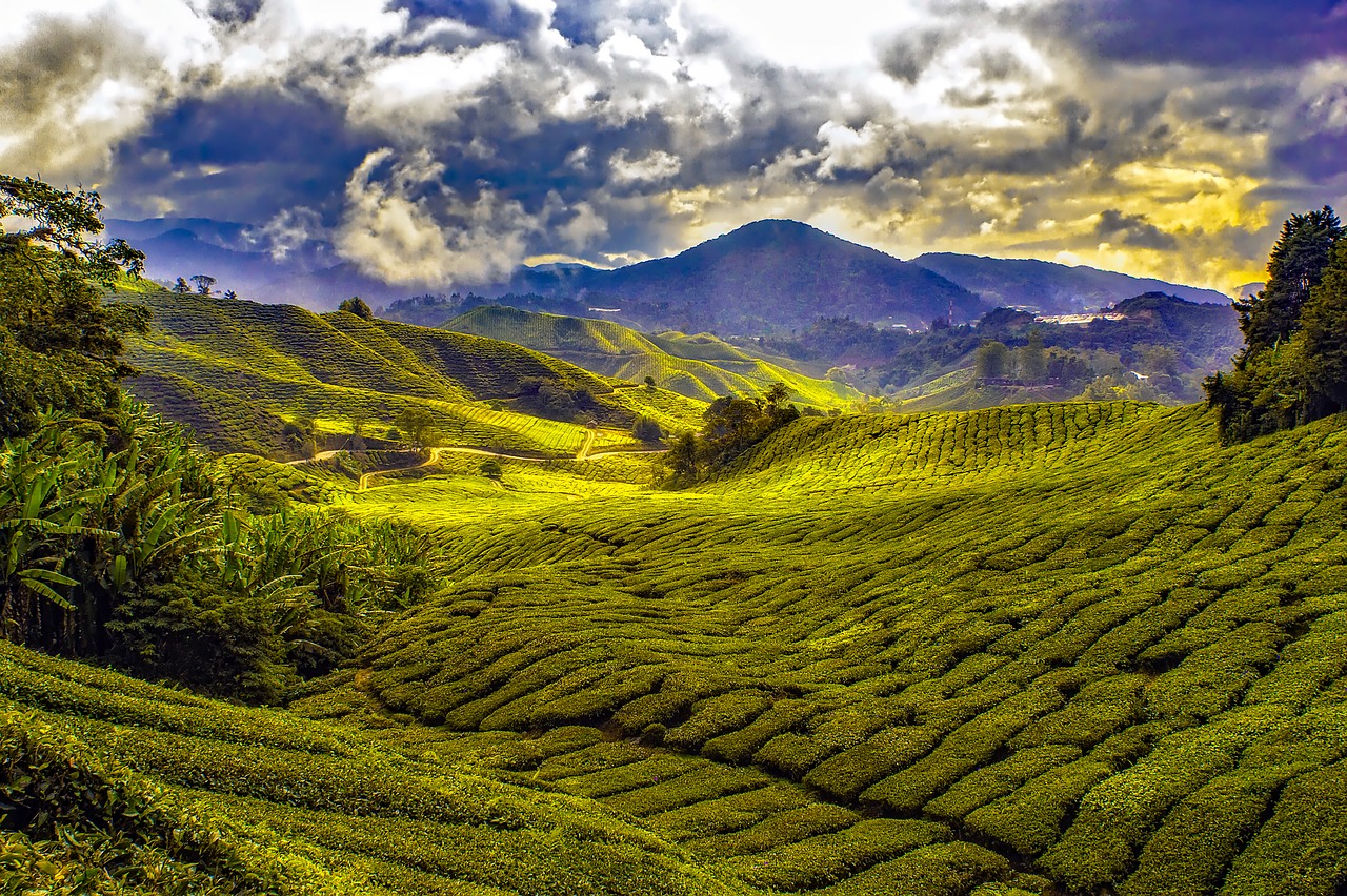Image - malaysia tropics mountains sky