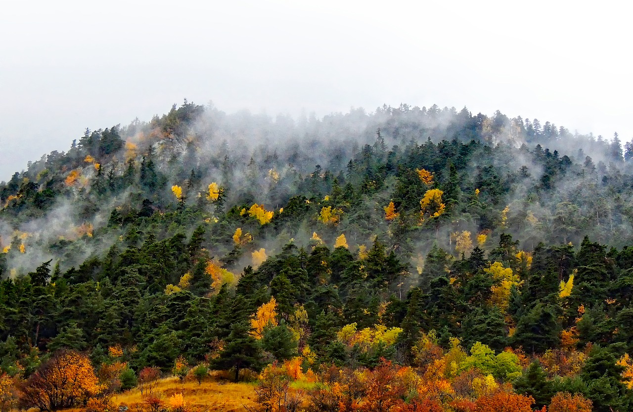 Image - france fog autumn fall colors