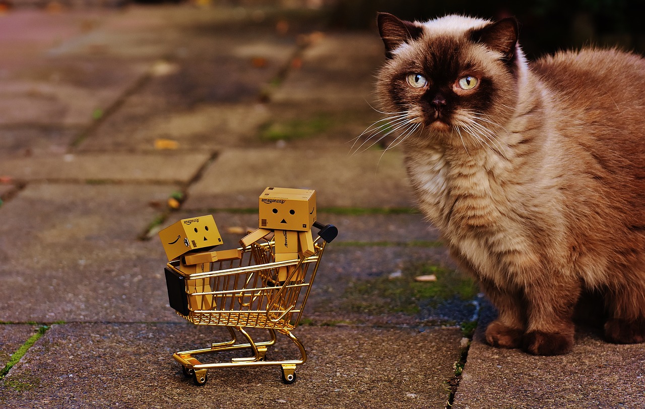 Image - danbo figures shopping cart