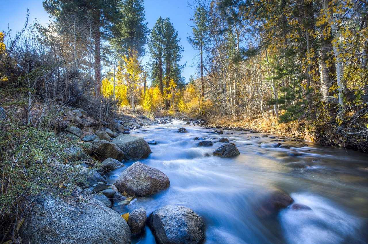 Image - stream wilderness water river