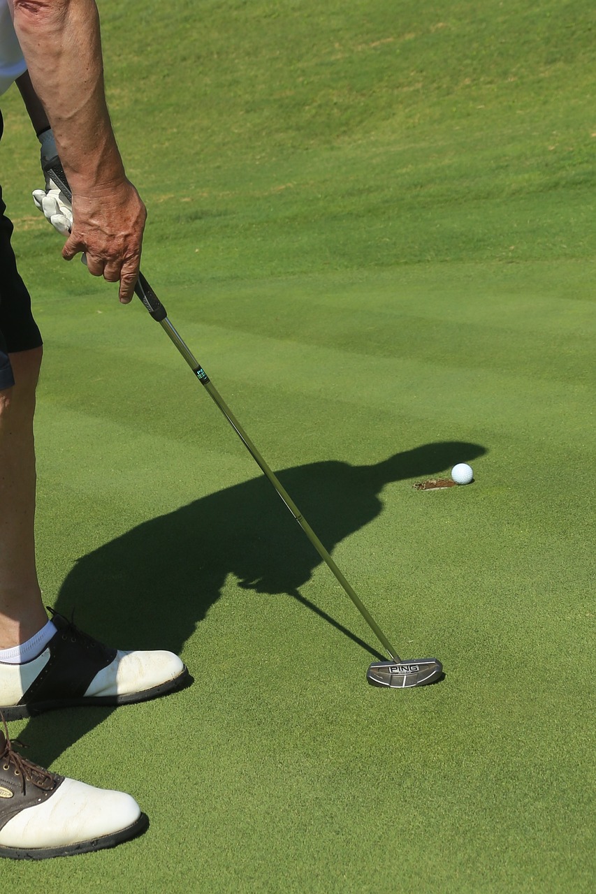 Image - golf green putting golfing fairway