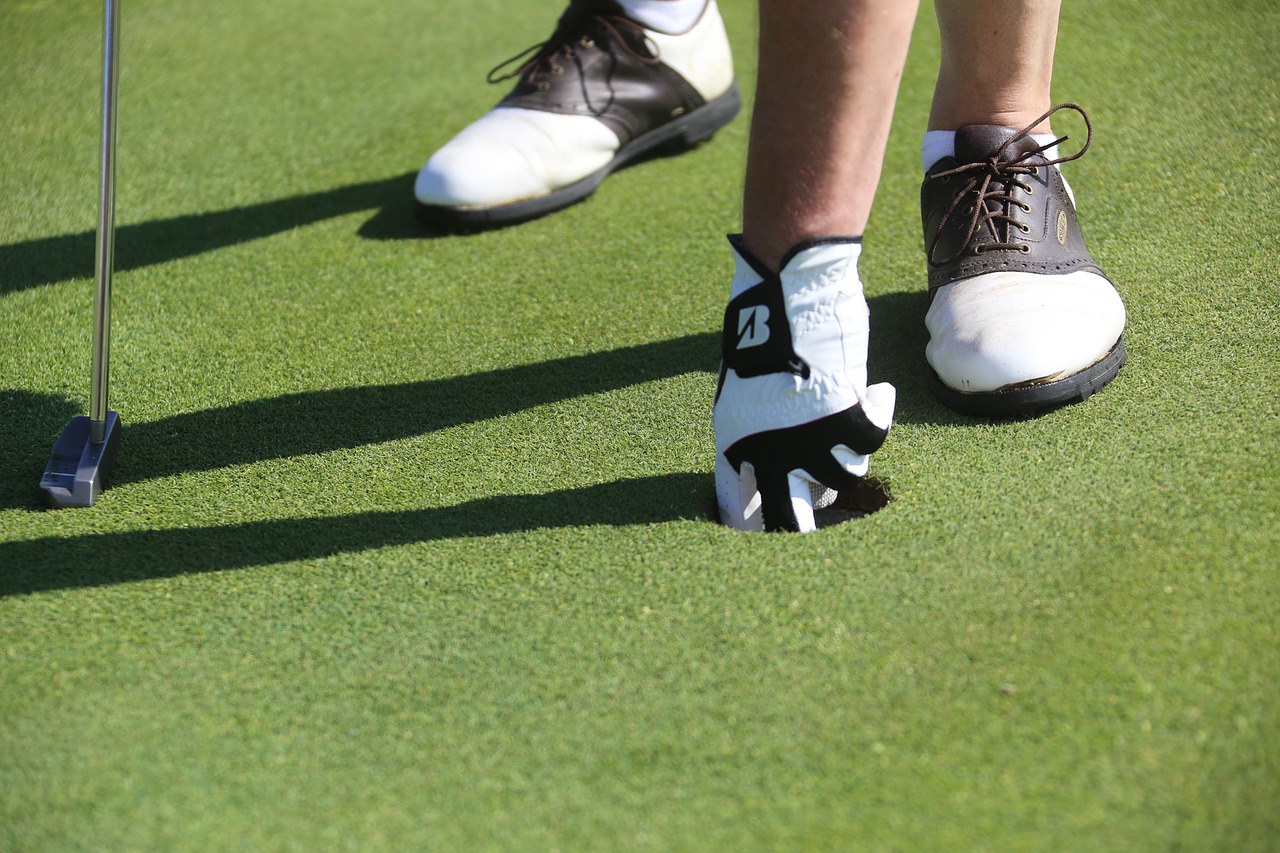 Image - golf putting green hole lifestyle
