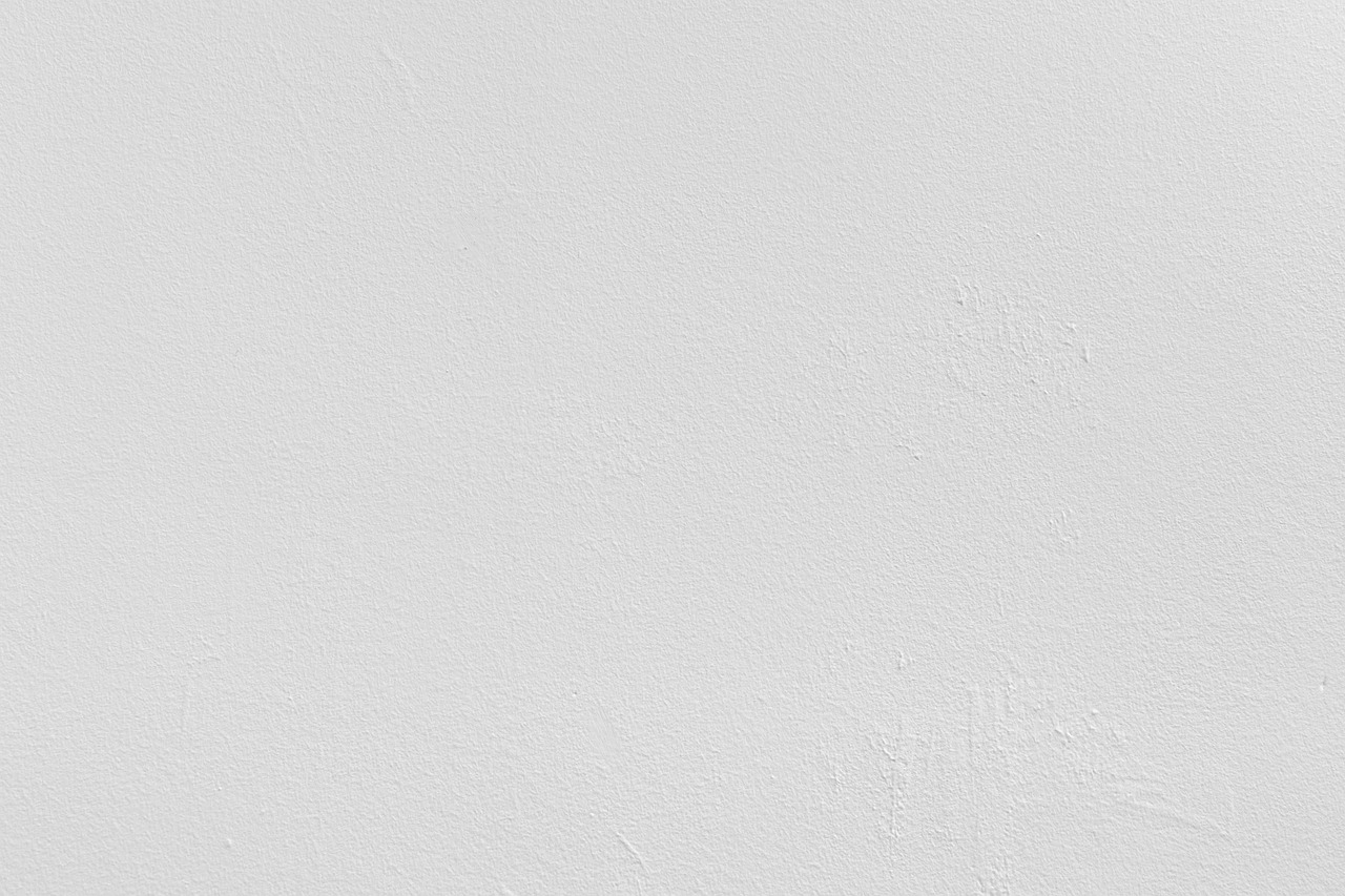 Image - white wall texture grunge rough