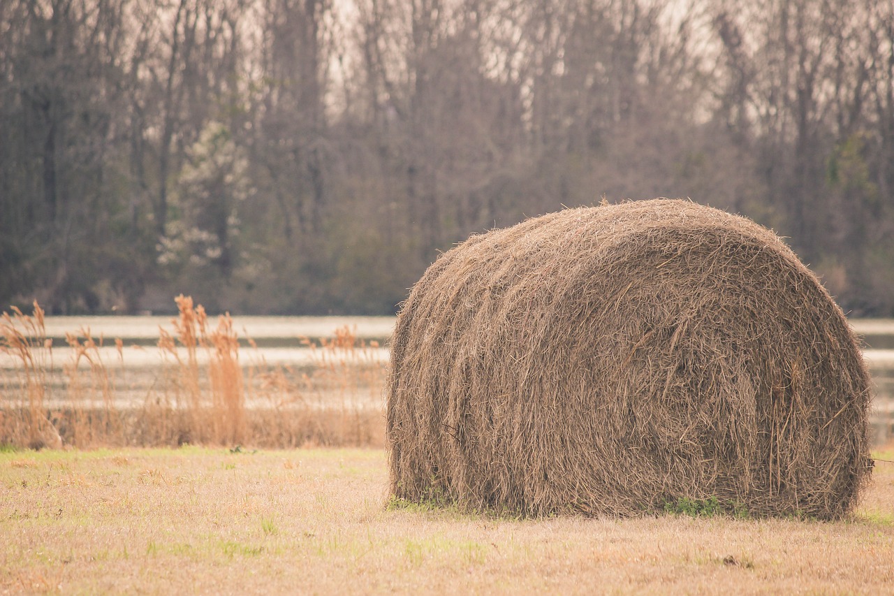 Image - countryside farm farming field