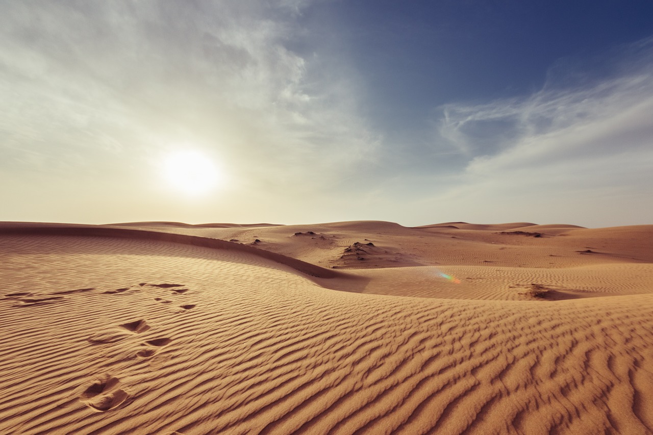 Image - arid barren dawn desert dry hot