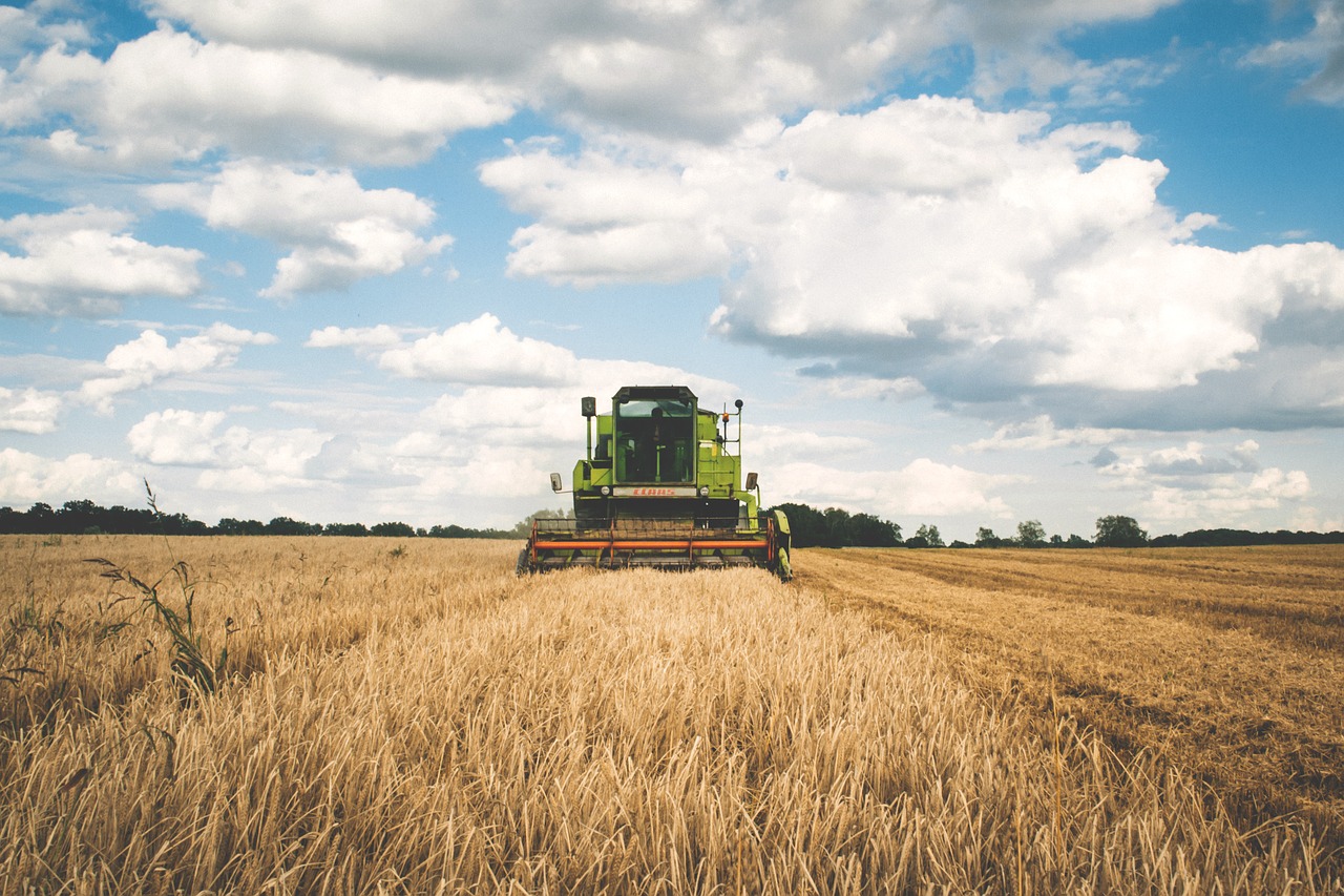 Image - agriculture cereal clouds