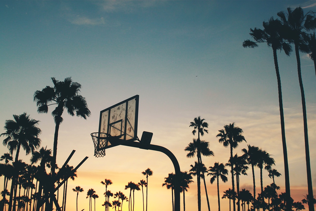 Image - backboard backlit basketball board
