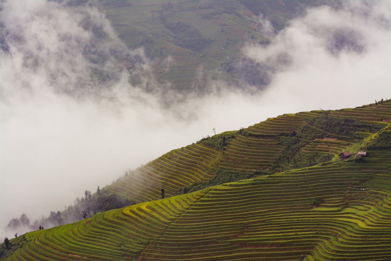 Image - agriculture clouds cropland