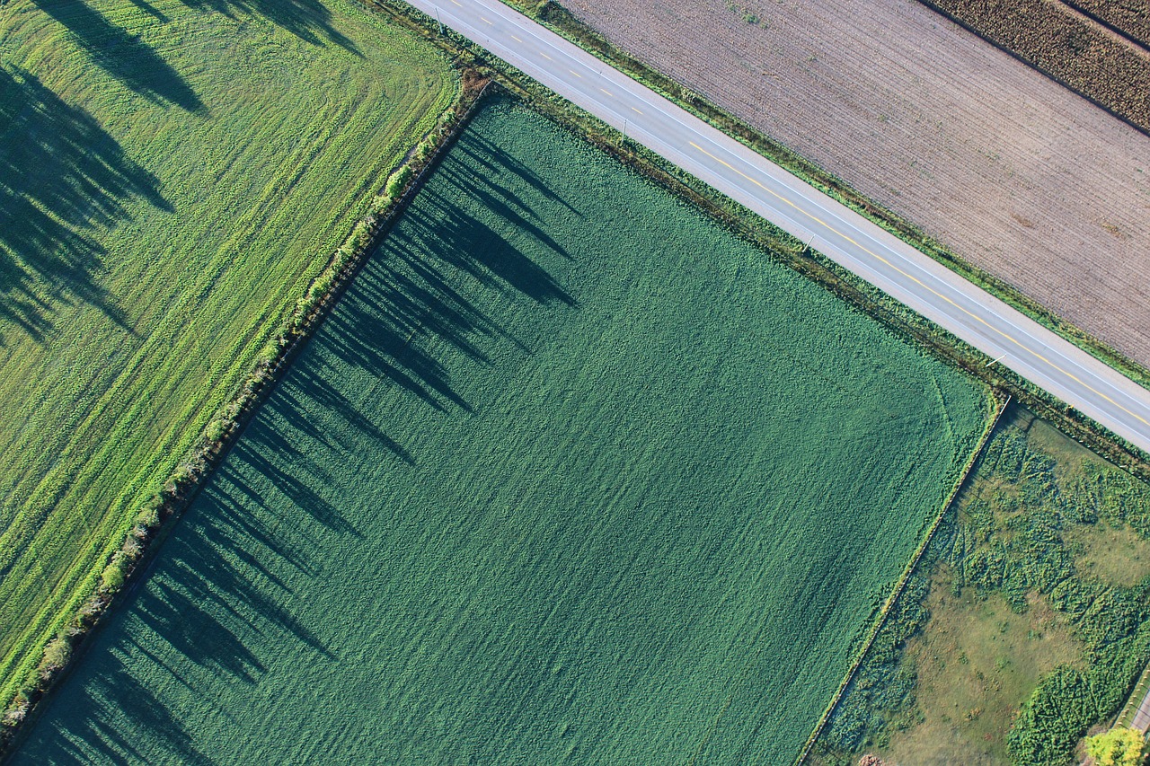 Image - agriculture cropland farm farmland