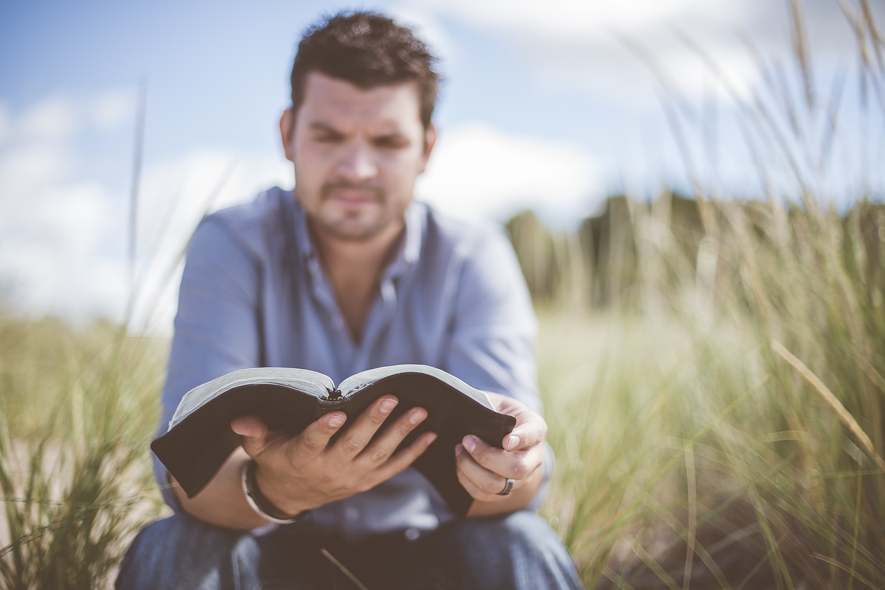 Image - book grass knowledge leisure man