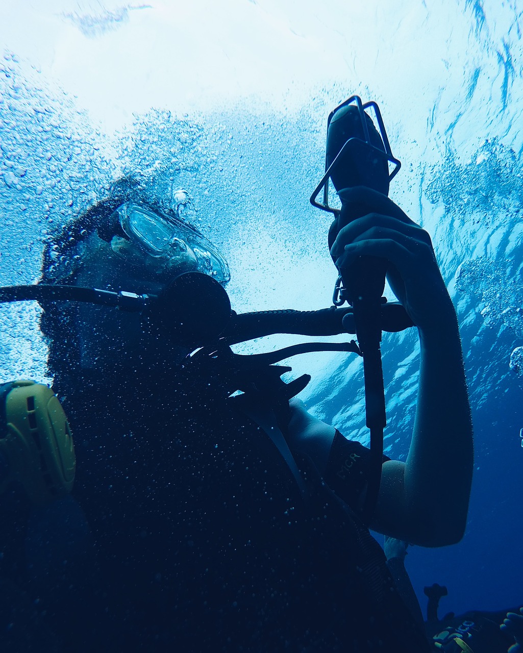 Image - diver diving exploration man ocean