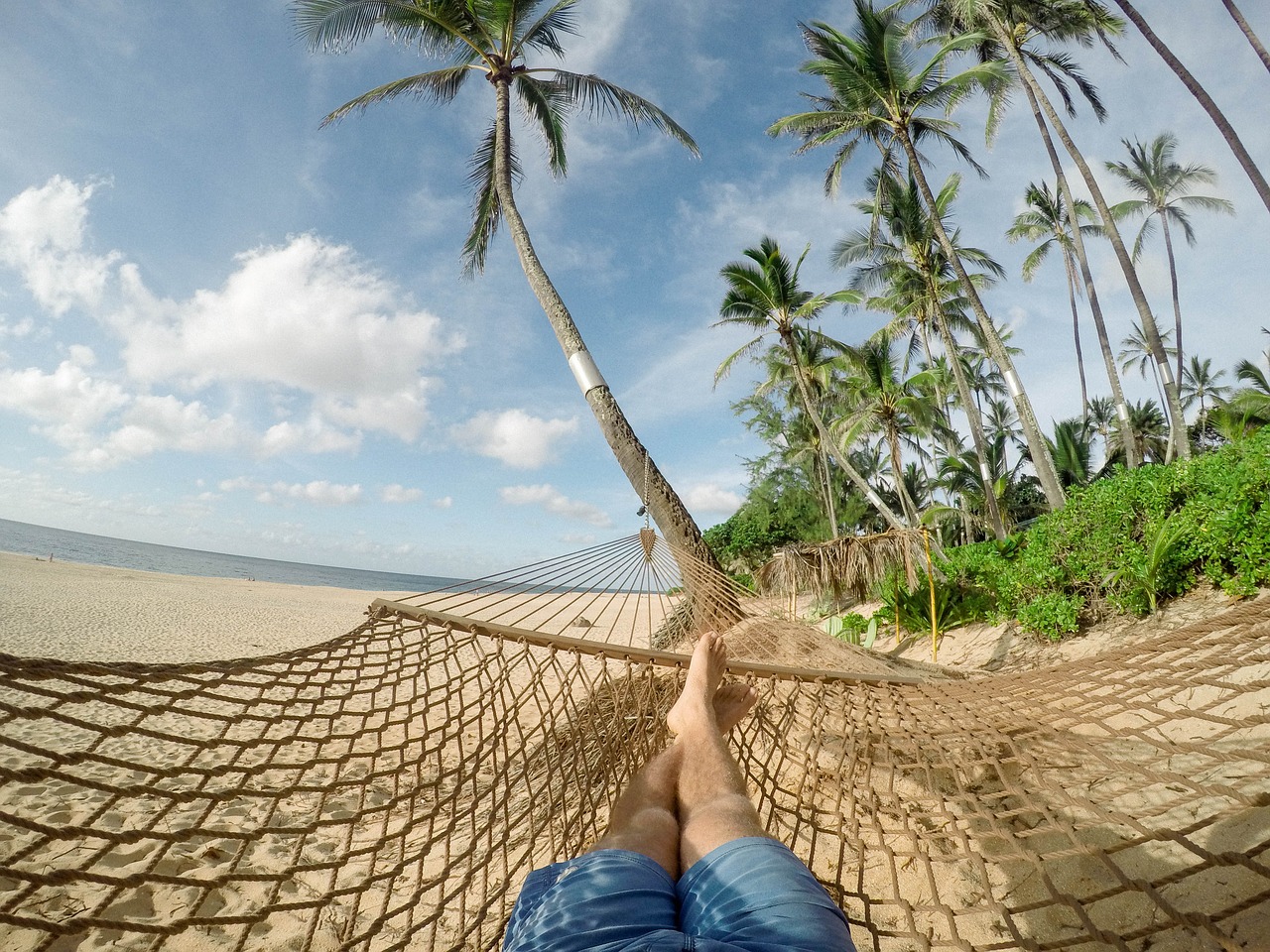 Image - beach blue sky clouds coconut trees