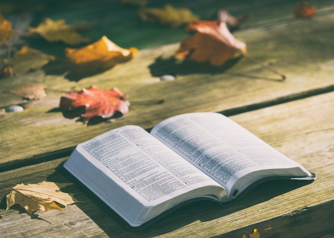 Image - bench bible book dry leaves