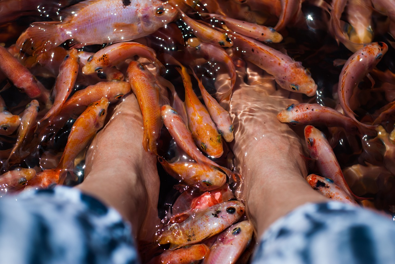 Image - blur close up feet fish focus