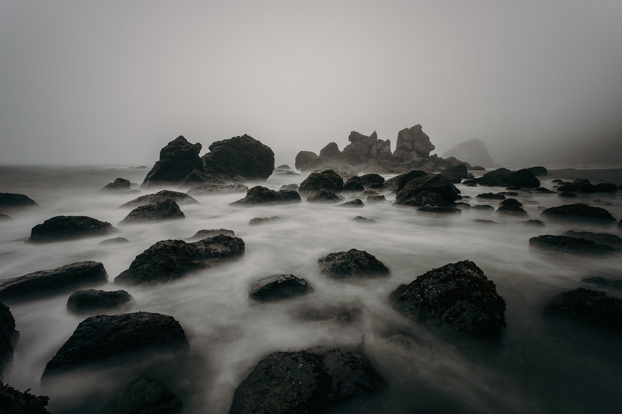 Image - beach foggy mist nature ocean