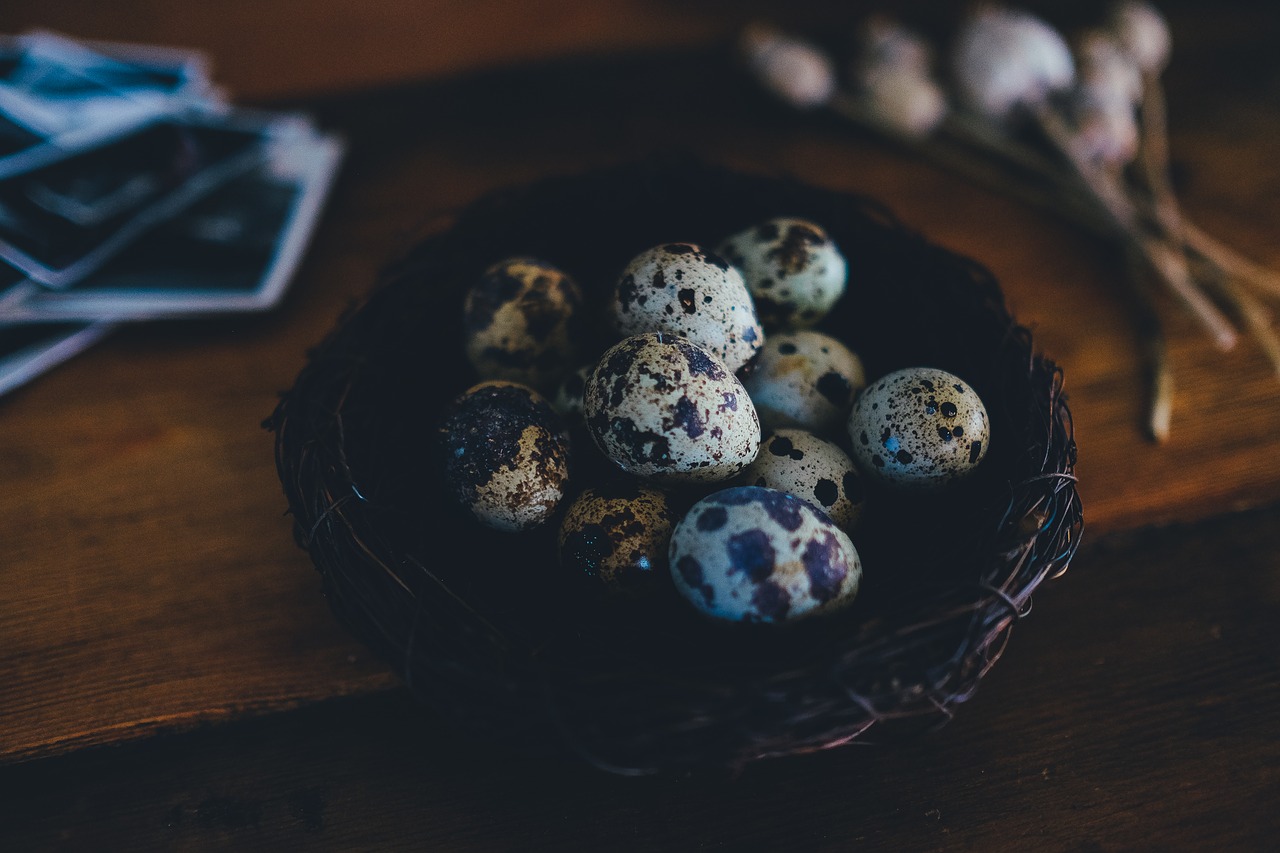 Image - blur egg food indoors quail egg