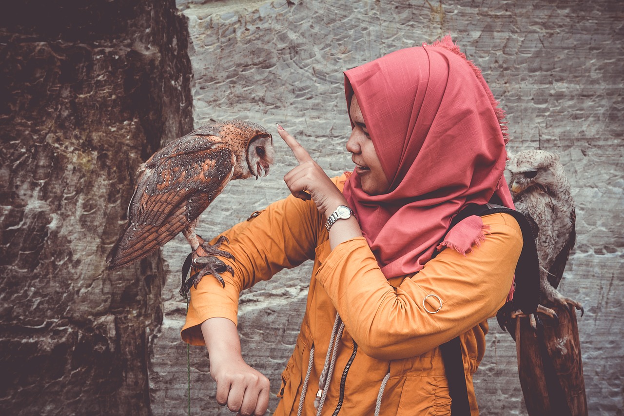 Image - animals avian birds girl owls