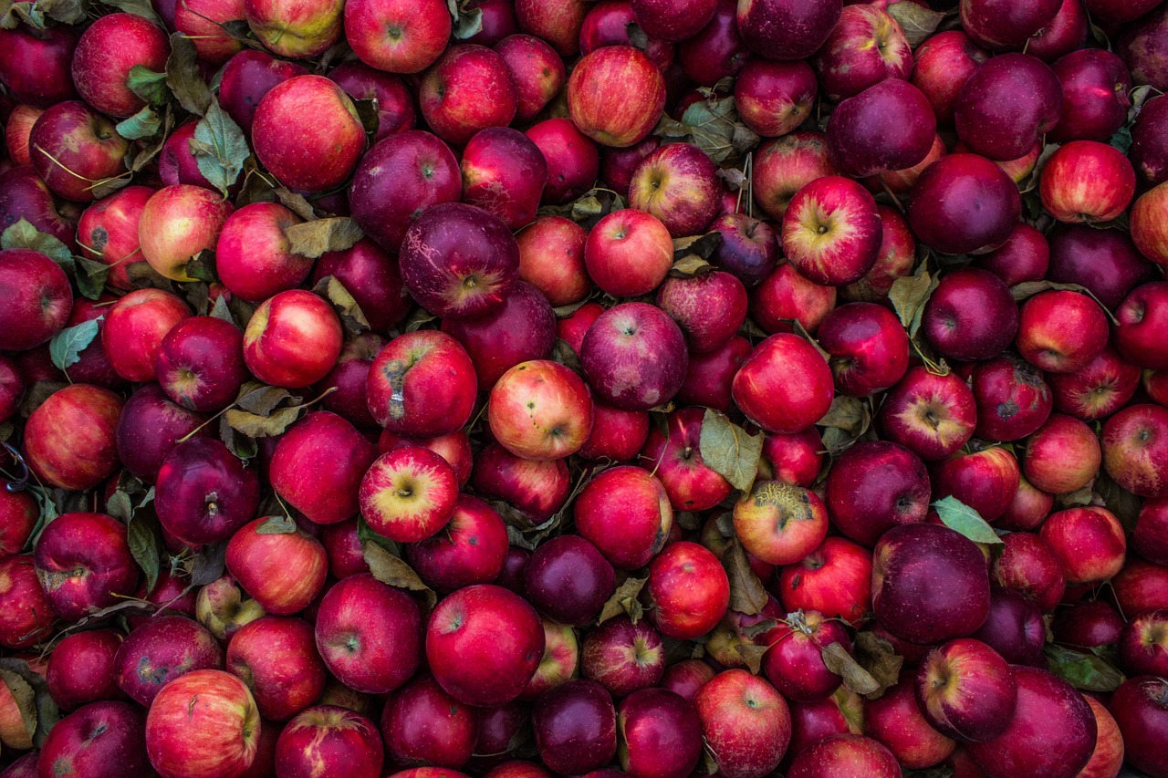 Image - agriculture apples food fruits