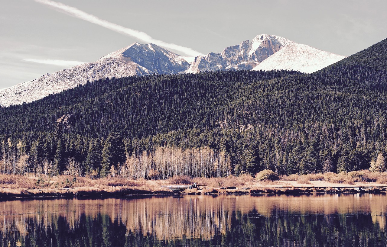 Image - cold forest lake landscape