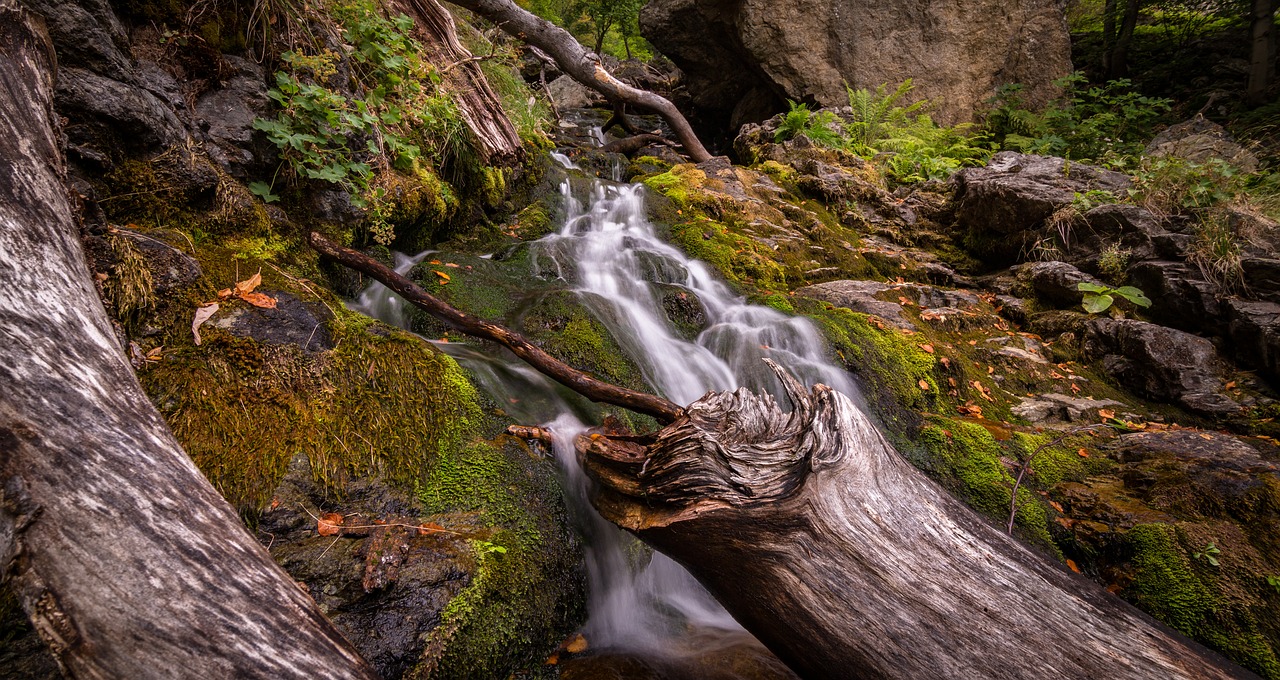 Image - creek landscape logs moss nature