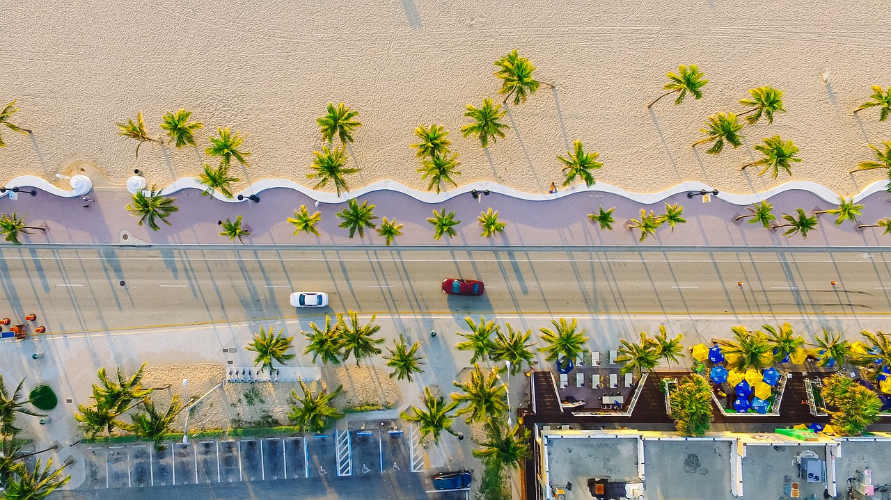 Image - buildings cars palm trees road