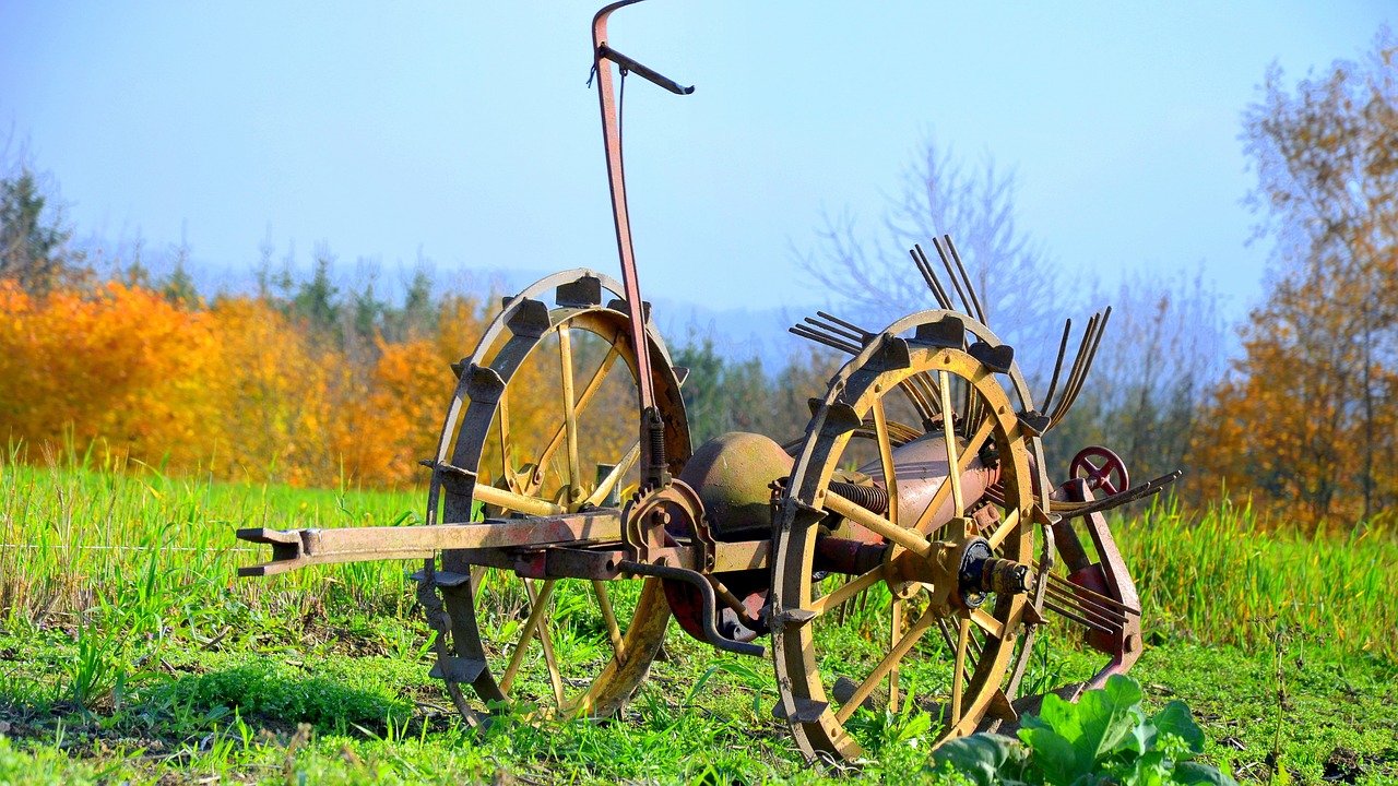 Image - arable field autumn landscape